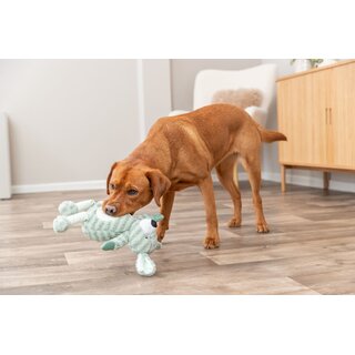 Trixie Hundespielzeug gestreifter Pl�sch-Hund, salbeifarben mit Quietscher, 34 cm